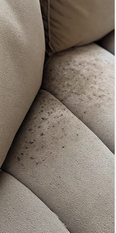 Beige microfiber sofa with multiple dark spot stains before professional stain removal service in Sharjah UAE