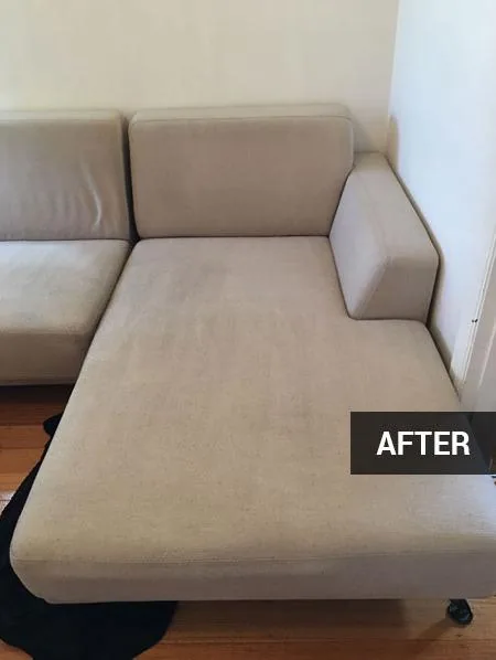 Sofa after pet stain removal in Ajman UAE — Al Haya Sofa Care